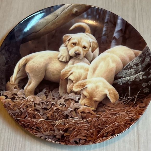 Limited Edition Bradford Exchange Collector Plate - Labrador Retriever Puppies - Picture 11 of 12